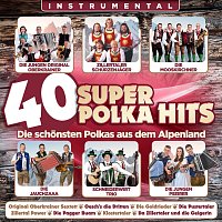 Přední strana obalu CD 40 super Polka Hits - Instrumental - Die schönsten Polkas aus dem Alpenland