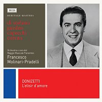 Přední strana obalu CD Donizetti: L'elisir d'amore