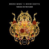 Bruno Mars, David Guetta – Versace On The Floor (Bruno Mars vs. David Guetta)