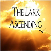 Andrew Davis – The Lark Ascending