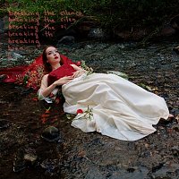 Přední strana obalu CD Breaking The Silence