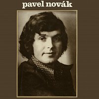 Pavel Novák, Orchestr Gustava Broma – Pavel Novák