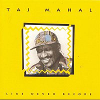 Taj Mahal – Like Never Before