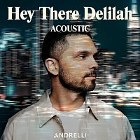 Andrelli – Hey There Delilah [Acoustic]