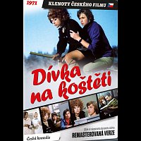 Dívka na koštěti (remasterovaná verze) (DVD) – Různí interpreti –  Supraphonline.cz
