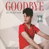 Přední strana obalu CD Till We Meet Again