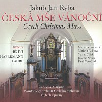 Různí interpreti – Česká mše vánoční CD