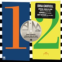 Dina Carroll – Special Kind Of Love