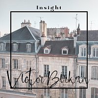 Victor Birkan – Insight