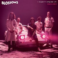 I Can't Stand It [Remixes]