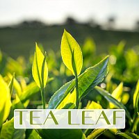 Přední strana obalu CD Tea Leaf