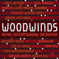 Přední strana obalu CD Woodwinds (Live)