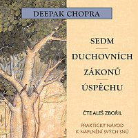 Aleš Zbořil – Sedm duchovních zákonů úspěchu (MP3-CD)