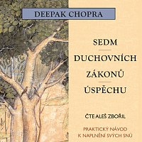 Sedm duchovních zákonů úspěchu (MP3-CD)