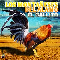 Los Montaneses Del Alamo – El Gallito