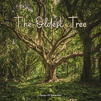 Přední strana obalu CD The Oldest Tree