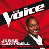 Jesse Campbell – What A Wonderful World [The Voice Performance]