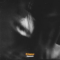 Přední strana obalu CD Простак