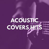 Různí interpreti – Acoustic Covers Hits