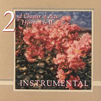 Hymns Instrumental [Instrumental]