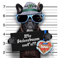 volXpop – Wir Steirerbuam rock'n!