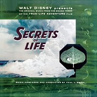 Paul J. Smith – Walt Disney Presents The Original Music from the Sound Track of his True-Life Adventure Film "Secrets of Life"