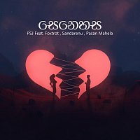PSJ, Foxtrot, Sandarenu, Pasan Mahela – Senehasa (feat. Foxtrot , Sandarenu & Pasan Mahela)