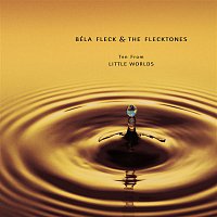 Bela Fleck & The Flecktones – 10 From Little Worlds