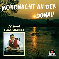 Alfred Buchbauer – Mondnacht an der Donau