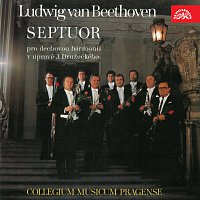 Přední strana obalu CD Beethoven: Septuor pro dechovou harmonii v úpravě J. Družeckého