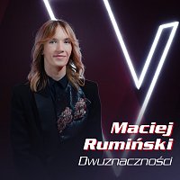 Maciej Rumiński – Dwuznaczności