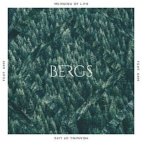 Bergs, 6AM – Meaning Of Life