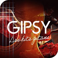 Různí interpreti – Gipsy Les hits gitans