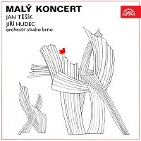 Orchestr Studio Brno – Malý koncert Jan Těšík, Jiří Hudec