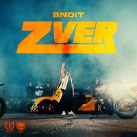 BNDIT – ZVER