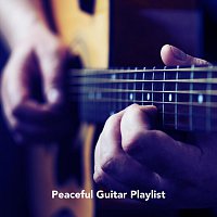 James Shanon, Chris Mercer, Richie Aikman, Ed Clarke – Peaceful Guitar Playlist