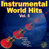 Přední strana obalu CD Instrumental World Hits Vol. 5