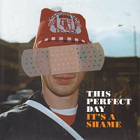 This Perfect Day – It's A Shame