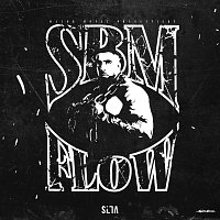 Silla – SBM Flow
