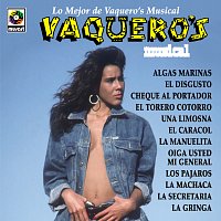 Vaquero's Musical – Lo Mejor De Vaquero's Musical