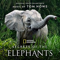 Secrets of the Elephants [Original Series Soundtrack]