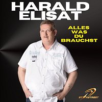 Harald Elisat – Alles was du brauchst
