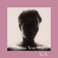 XiX – Miss You Much