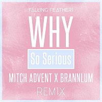 Falling Feathers – Why So Serious (Mitch Advent & Brannlum Remix)