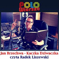Radek Liszewski – POLO Wiersze - Jan Brzechwa - Kaczka Dziwaczka