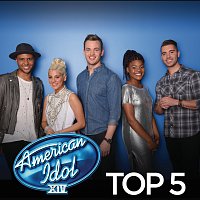 American Idol Top 5 Season 14