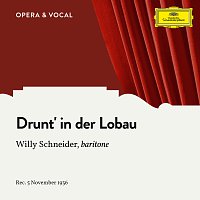 Willy Schneider, Orchestra, Walter Schutze – Strecker: Drunt' in der Lobau, Op. 290