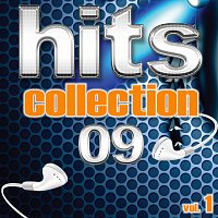 Přední strana obalu CD Hits Collection 09, Vol. 1