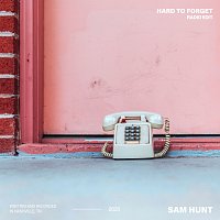 Sam Hunt – Hard To Forget [Radio Edit]