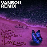 Ali Gatie – What If I Told You That I Love You (Vanboii Remix)
